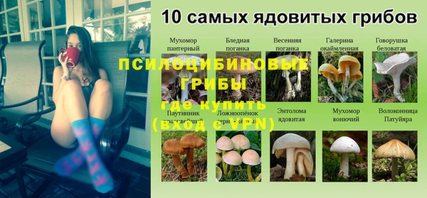 a pvp Алзамай